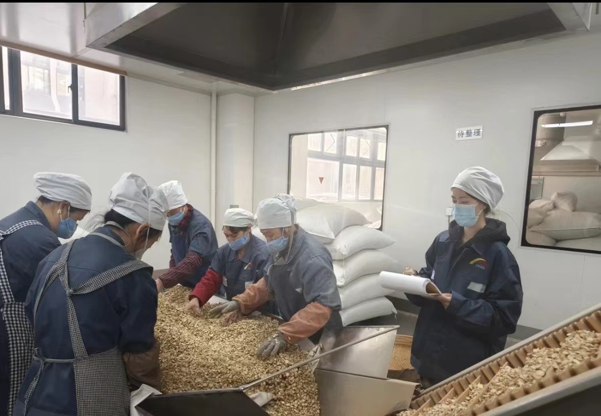 Qingdao Biohoer Biotech Co., Ltd. har offisielt startet byggingen