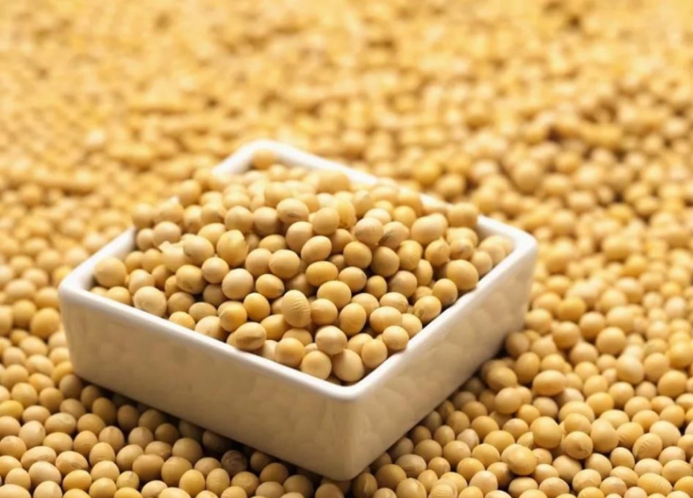 Hva er fordelene med soya -isoflavoner?