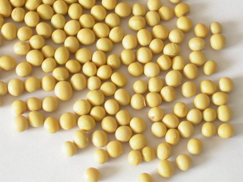 Hva er funksjonene og effektene av soya -isoflavoner?
