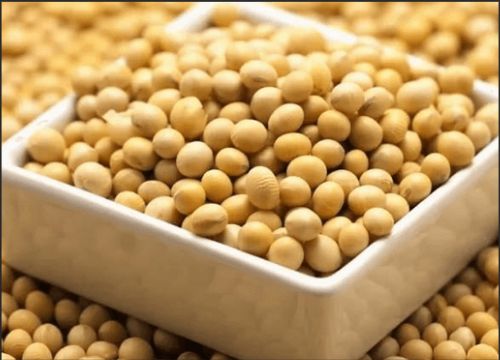 Hva er fordelene med soya -isoflavoner?