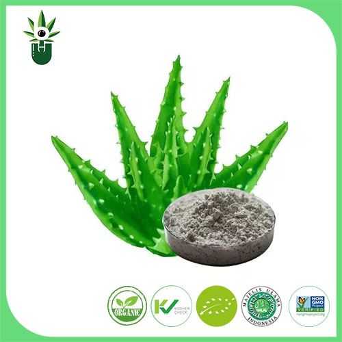 Aloe Vera ekstrakt